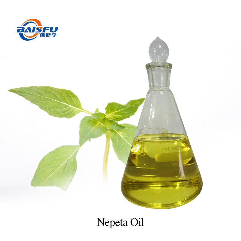 Fragrant  Nepeta Oil CAS:8006-99-3