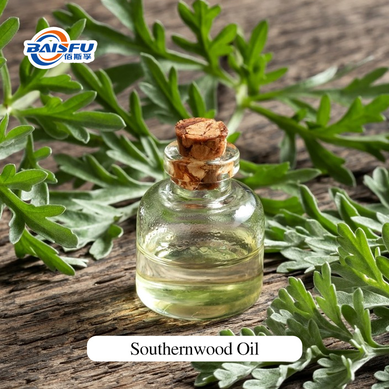 BAISFU Pure Natural Southernwood Oil for Home Freshening and DIY Crafts